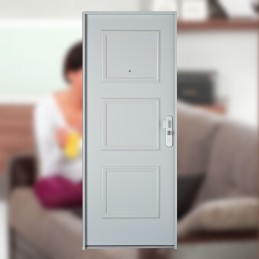 Porte Blindée Fichet Sphéris S